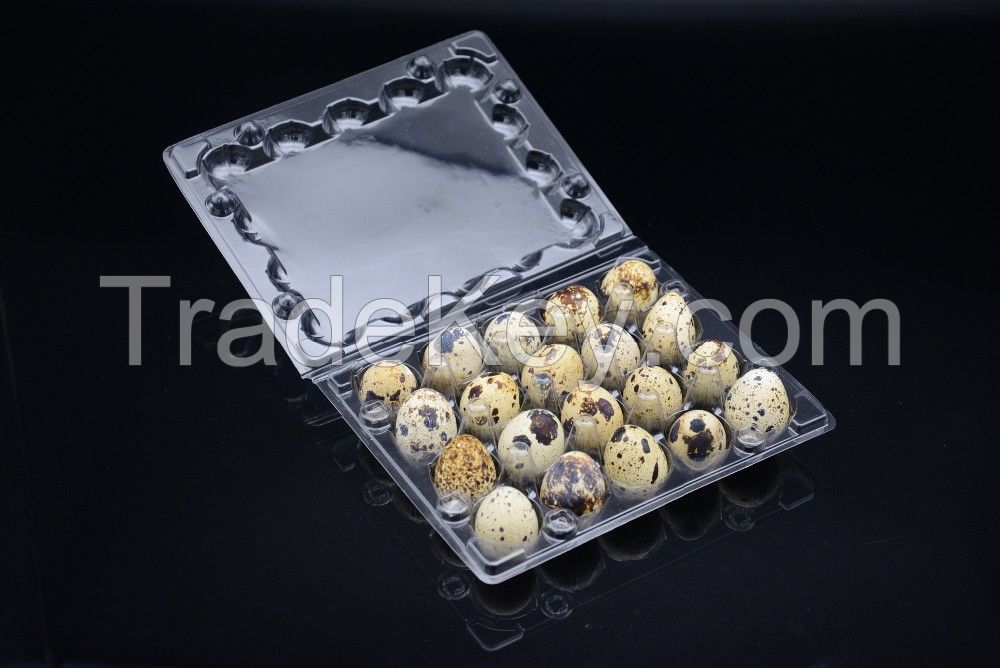 Plastic quail egg tray