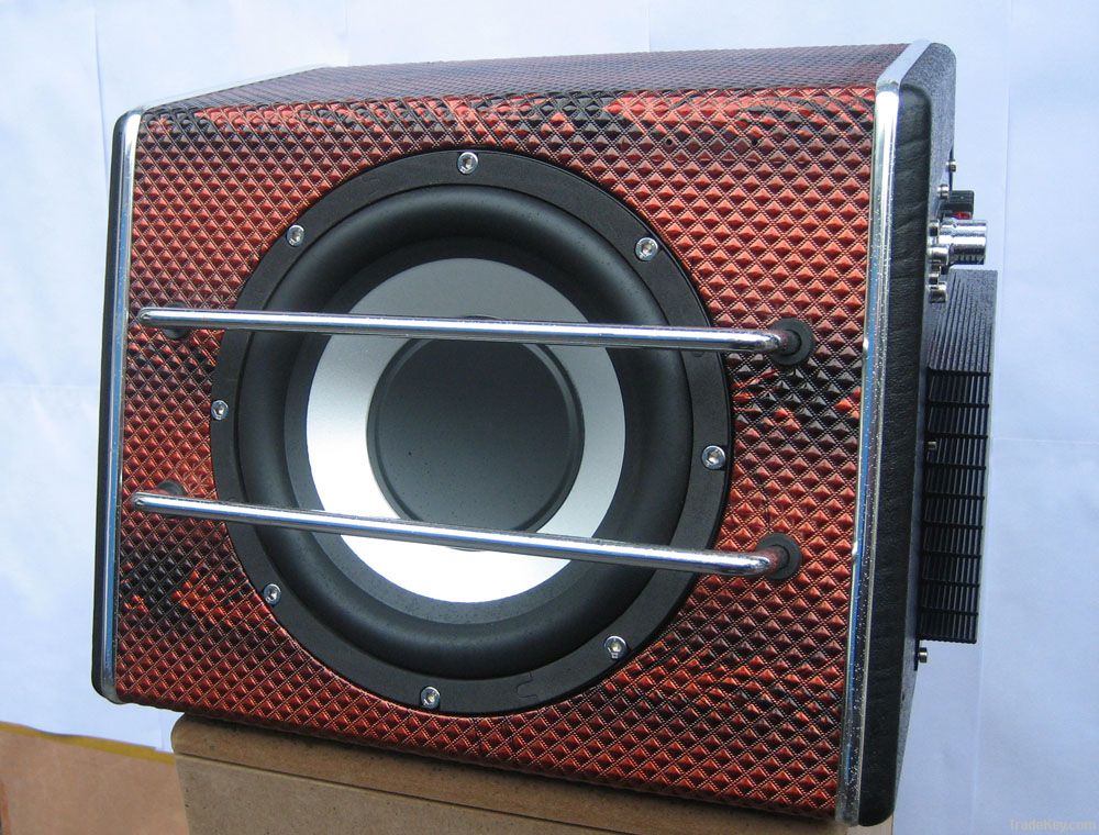 sub woofer with 2 channle