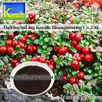 Lingonberry Extract(5%-70% Anthocyanin)