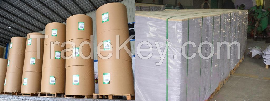 Woodfree Offset Paper / Woodfree Uncoated Paper / Offset Printing Paper