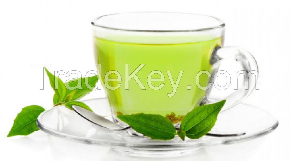 Organic Green  Tea