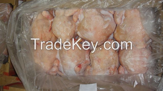 First Grade Broiler Chicken Meat (Halal)