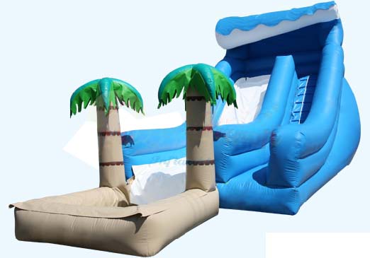 Inflatable Water Slides