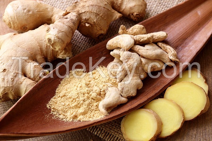 Fresh And Dried Split Ginger For Sale And Export