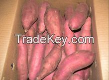 Fresh Sweet Potatoes