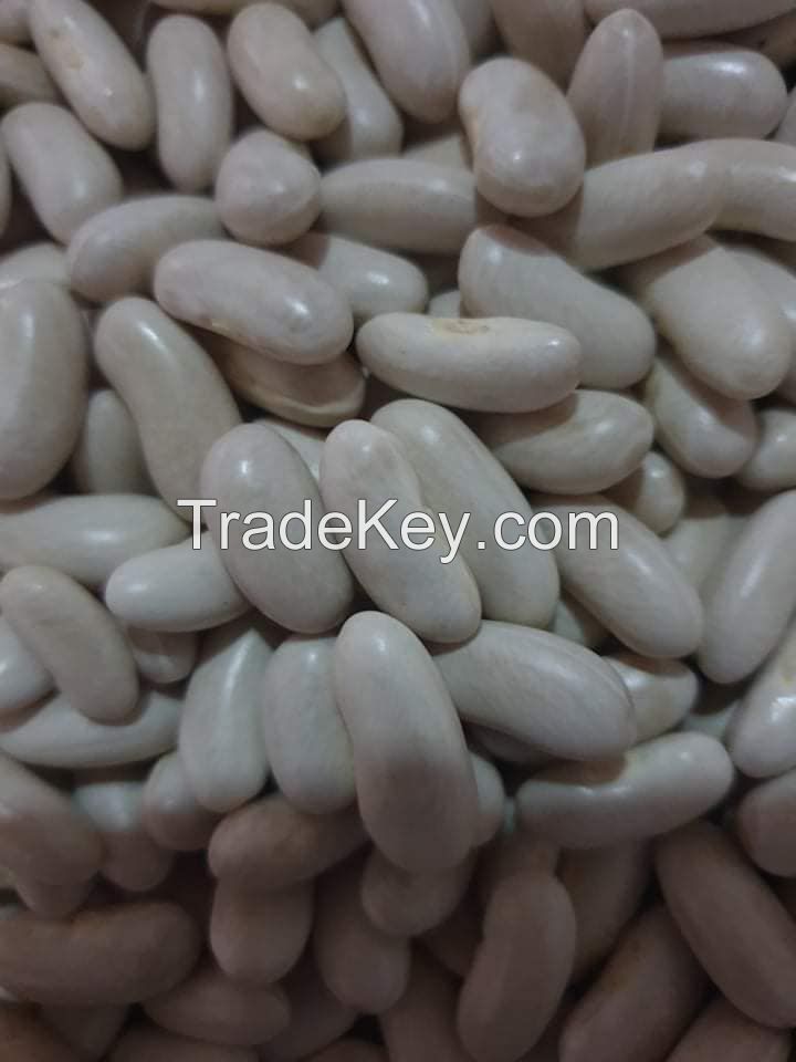 White kidney beans from Madagascar