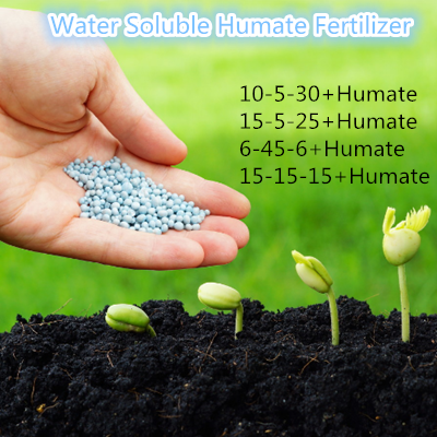 Agricultural compound fertilizer Water Soluble Humate Fertilizer