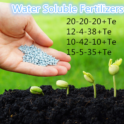 Agricultural compound fertilizer Water Soluble Fertilizers