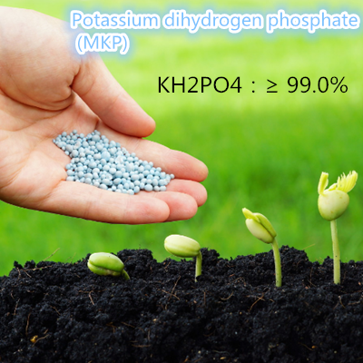 Ammonium dihydrogen phosphate (MAP)