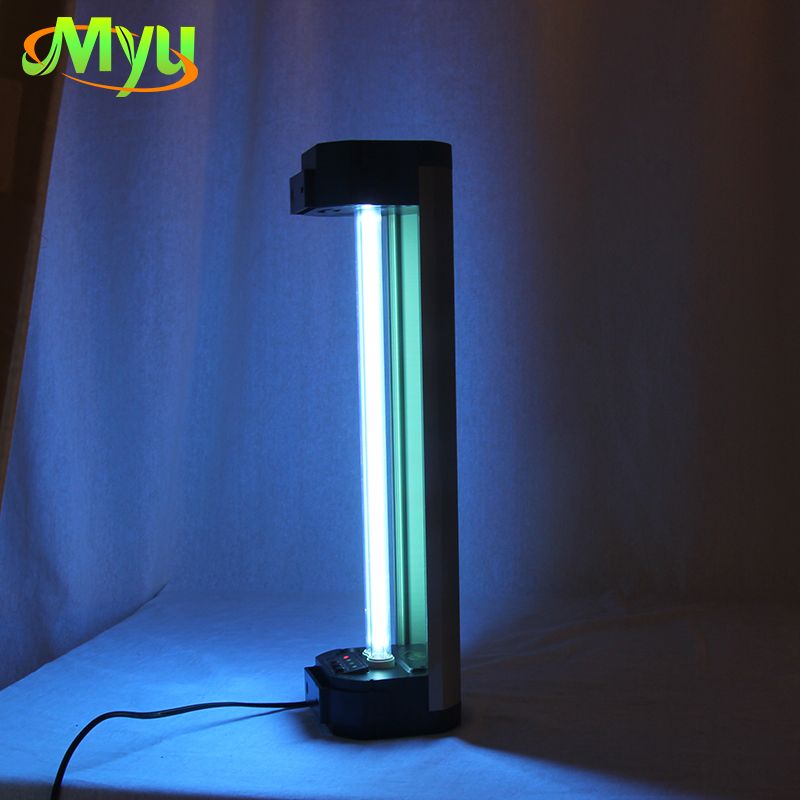 UV germicidal lamp with lighting