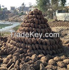 Cow Dung Cake | Desi Dried Cow Dung | Natural Breed Cow Dung