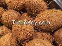 Coconuts