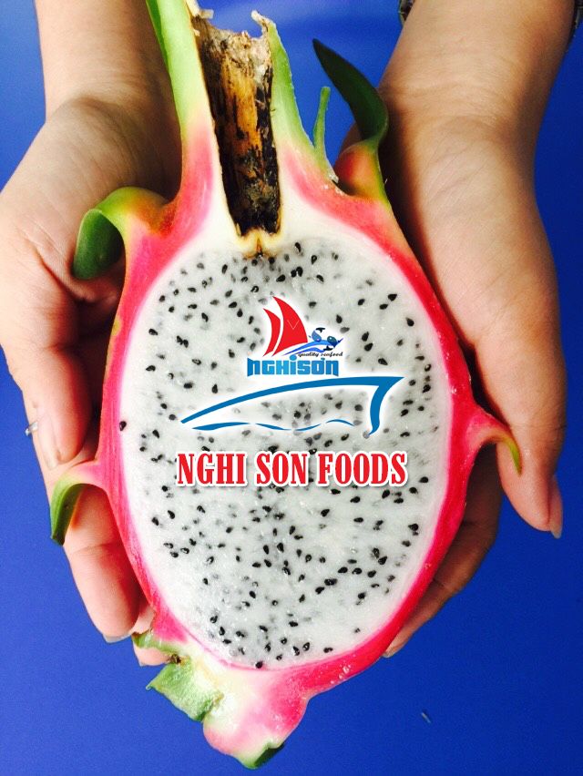 DRAGON FRUIT - WHITE FLESH