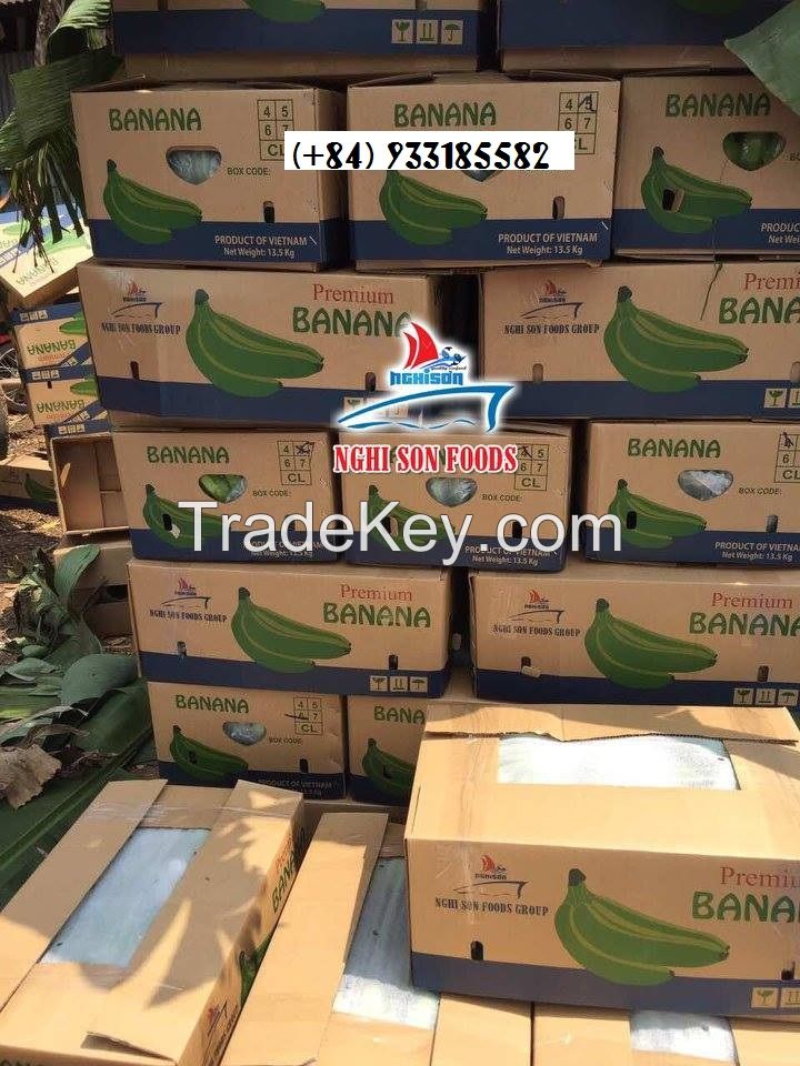 FRESH CAVENDISH BANANA