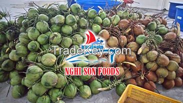 Fresh Young Coconut