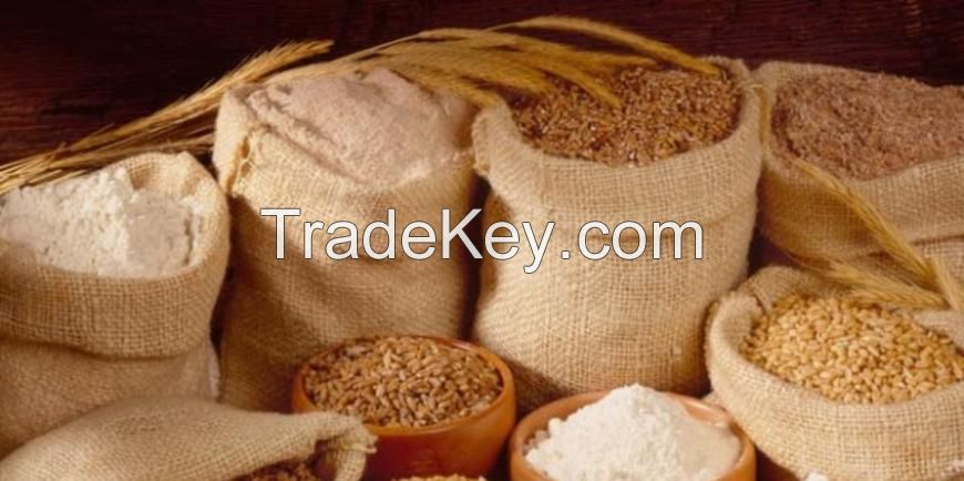 Original wheat and High Quality Wheat Flour 