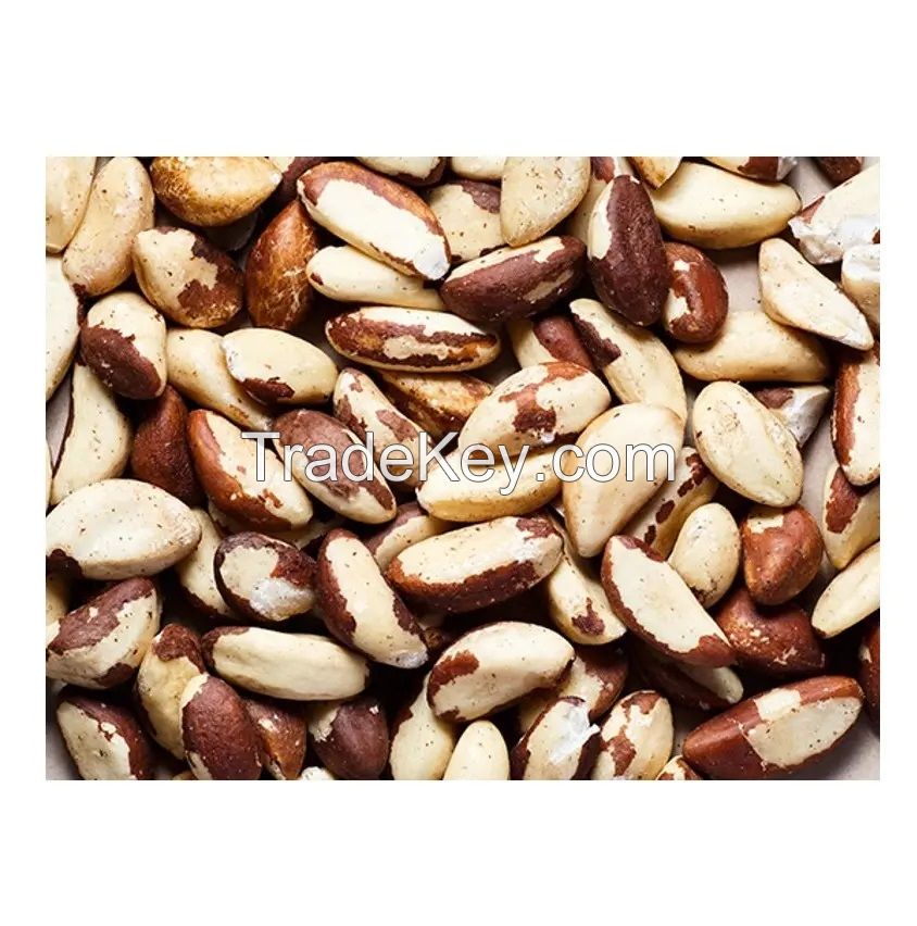 Best Price!! Raw Cashew Nuts w320 w240 with high quality