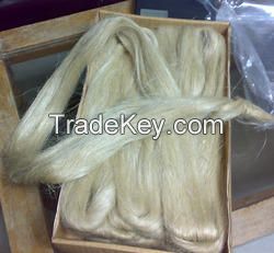 Natural Sisal Fiber