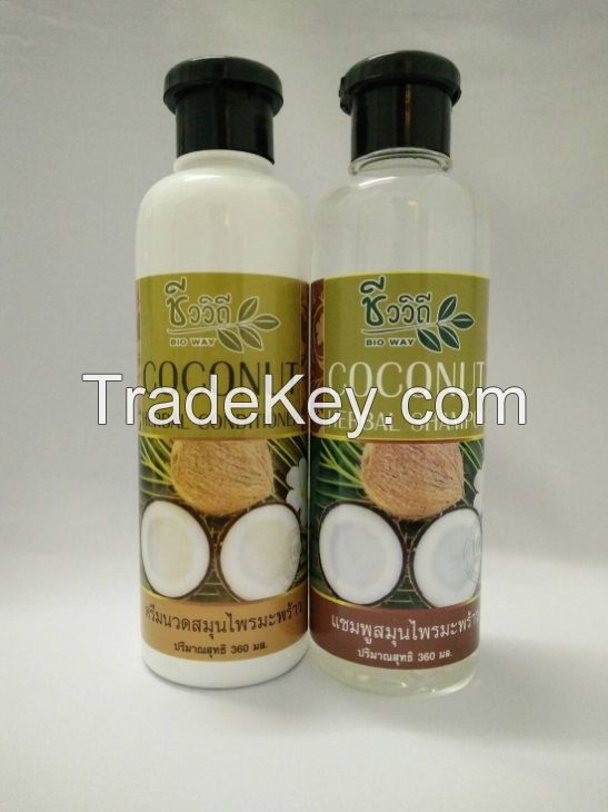 Coconut Hair Care Set - Shampoo, Conditioner, Detox Treatment