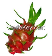 dragon fruit (pitaya) white flesh