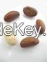 Bitter Kola Nd Ginger, we Lwide Nigeria Limited import we are dealer in this reputable Business. we work in a highly motivated and challenging environment where our skill will effectively utilized with opportunities for self development.