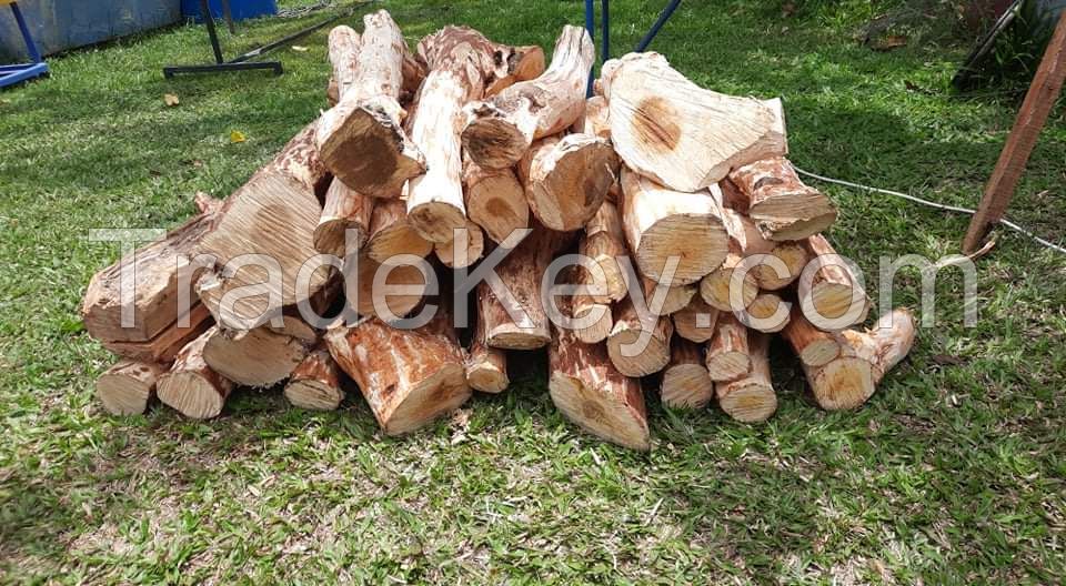 Sandalwood Logs and branches 