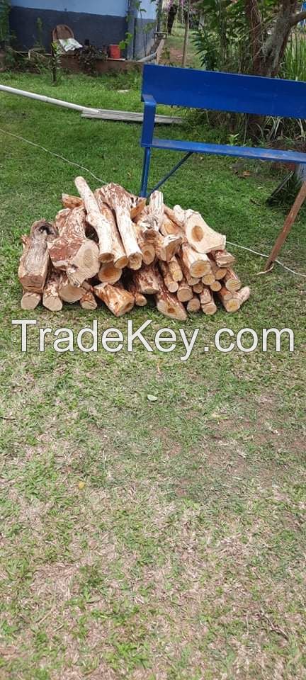 Sandalwood Logs and branches 