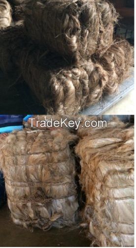 Abaca Fiber