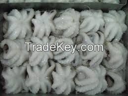 Frozen Octopus, Lobster, Shrimps, Crab, Fish, Sea food