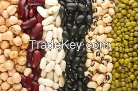 kidney beans, black beans, vanilla beans, coffee beans, lentils