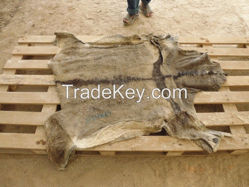 Wet/Dry Salted Donkey Hides