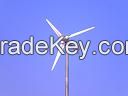 1000W Household Wind Turbine