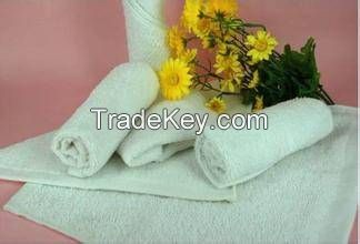 Plain Weave Towel