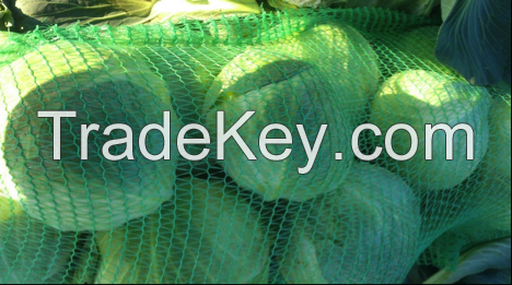 High-Quality Cabbage By Wholesale