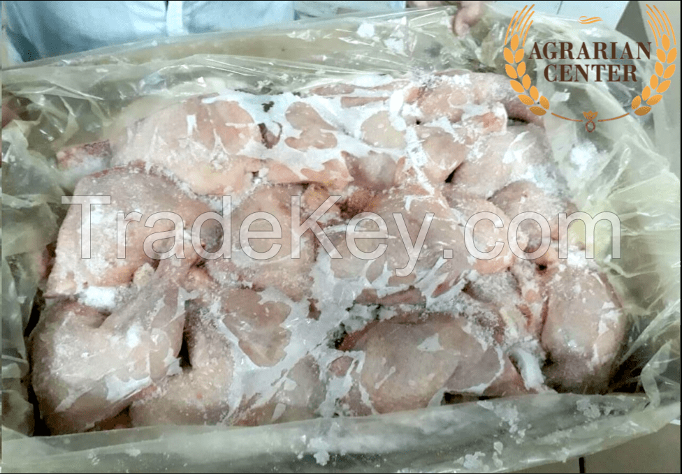 CHICKEN MEAT (whole chicken, fillet, legs, wings)