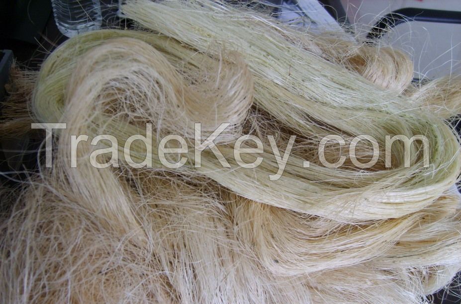 Natural sisal fiber