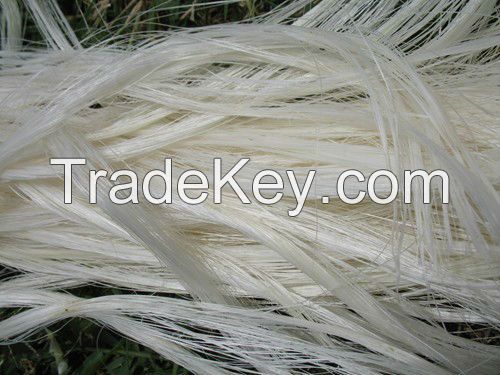 High Quality/Purity 100% Natural raw sisal fiber UG grade/ sisal fibre BEST PRICES