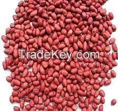 Bold Peanuts kernels Gujarat India all size (eg. 40/50, 50/60, etc)