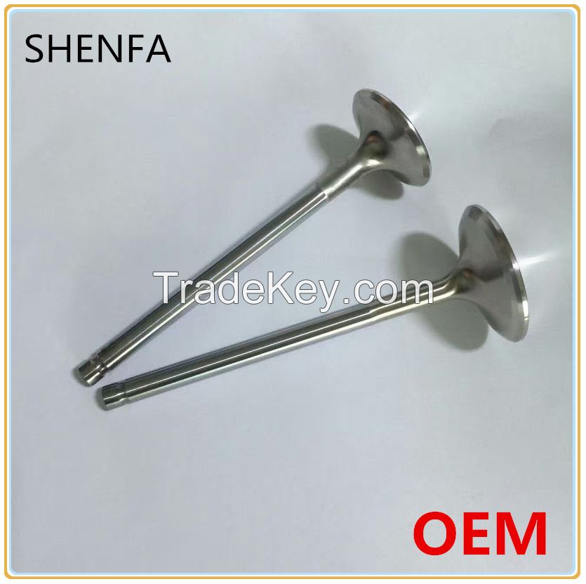 Motorcycle engine valve