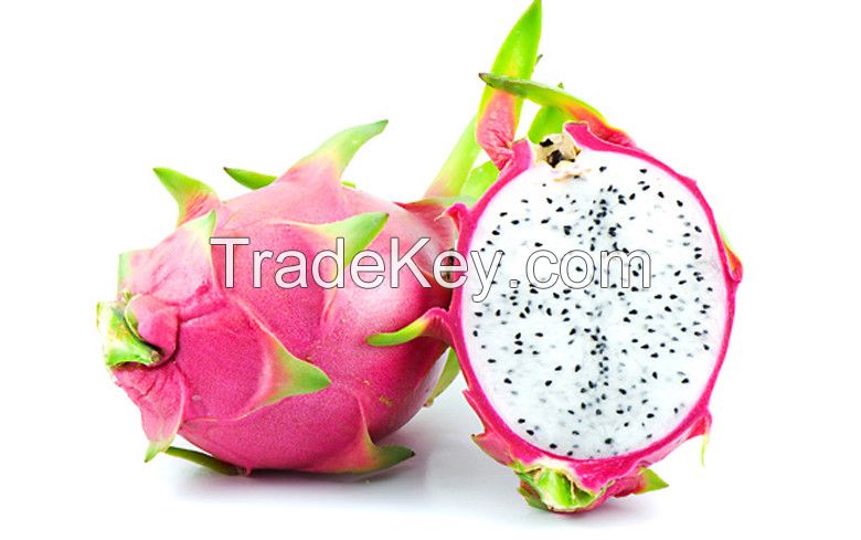 HIGH QUALITY FRESH DRAGON FRUIT FROM VIETNAM