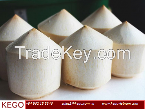 DIAMOND SHAPE YOUNG COCONUT FROM VIETNAM