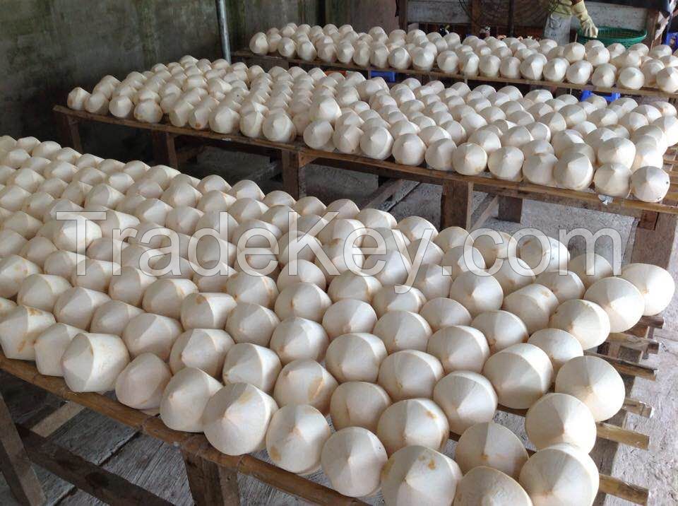 DIAMOND CUT YOUNG COCONUT FROM VIETNAM