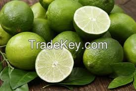 VIETNAM FRESH SEEDLESS LIME