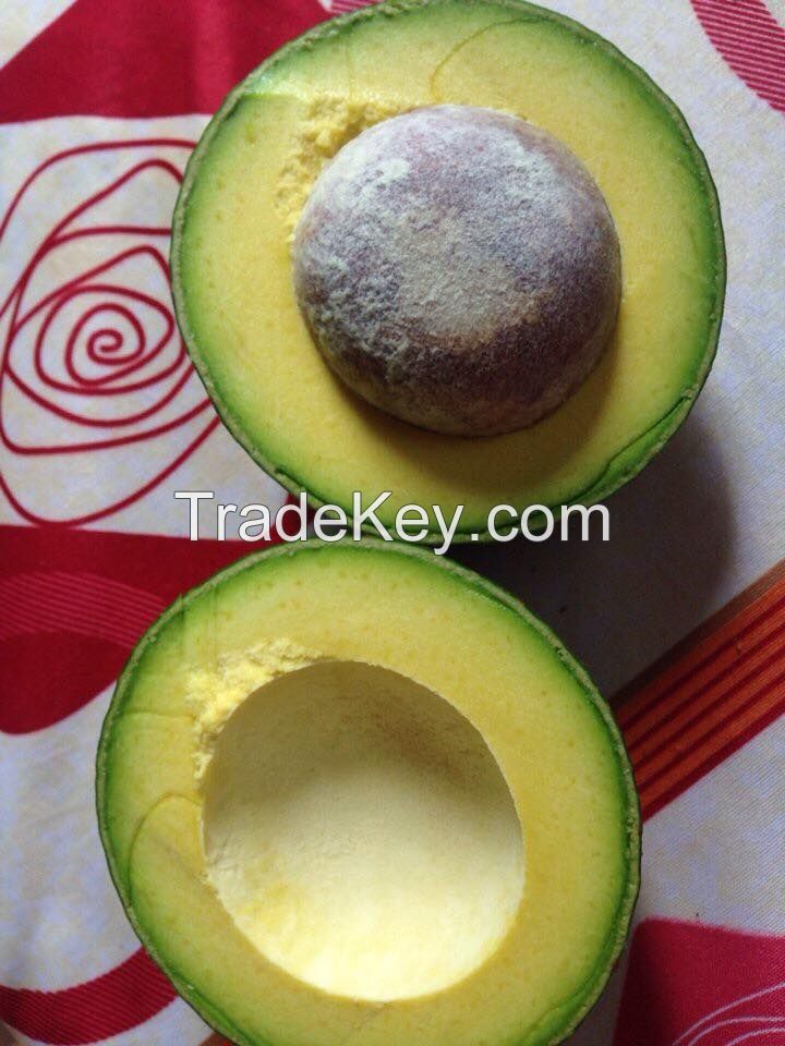 Fresh Booth Avocado From Vietnam With High Quality