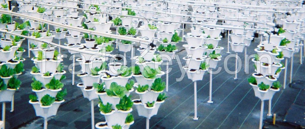 Commercial Garden Hydroponic