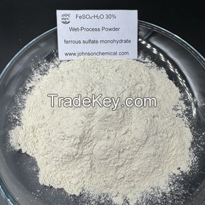 Factory Outlet FeSO4.H2O Free Sample Ferrous Sulfate Monohydrate Powder