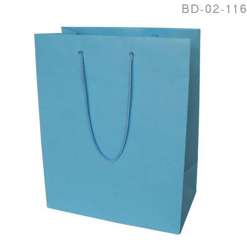 Export Gloss/Matt  paper Carrier bag