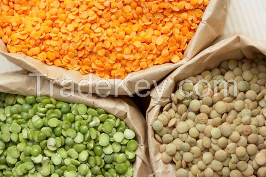 High Quality Red and Green (Lentils)