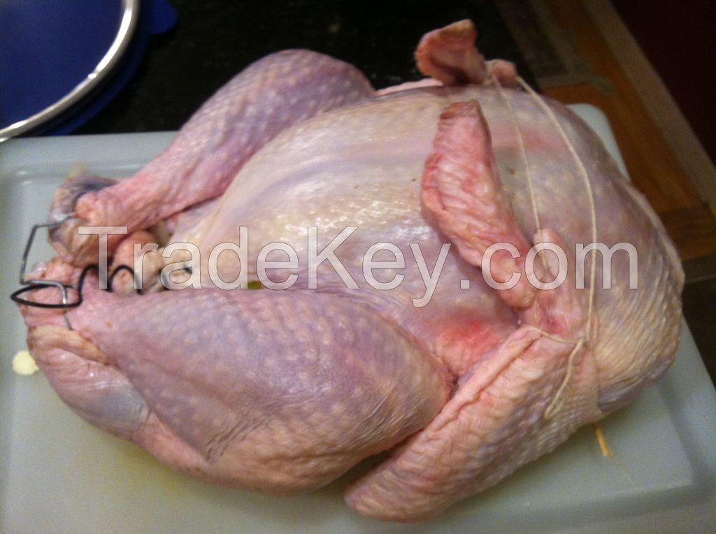 Whole Frozen Turkey Duck & Chicken Meat
