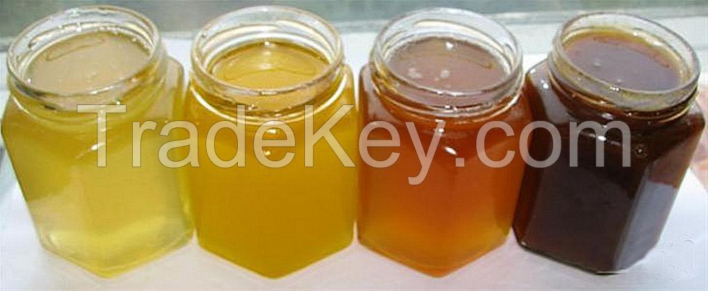 Sale of natural honey from Ukraine